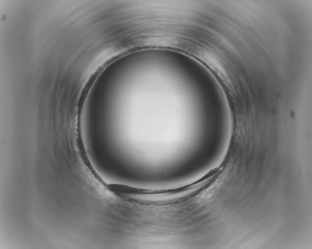 X0000089370992200706151154