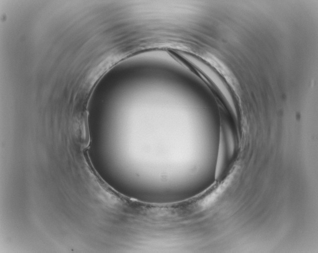 X0000089370993200706151154