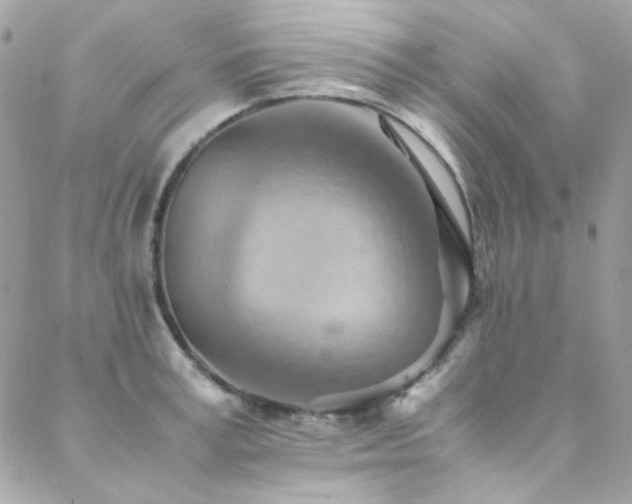 X0000089370995200706151154