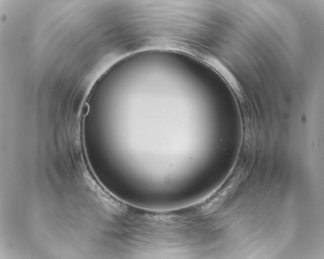 X0000089371004200706151154