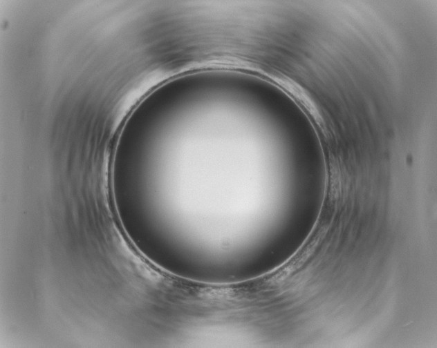 X0000089371006200706151154