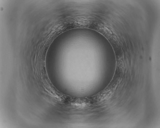 X0000089371009200706151153