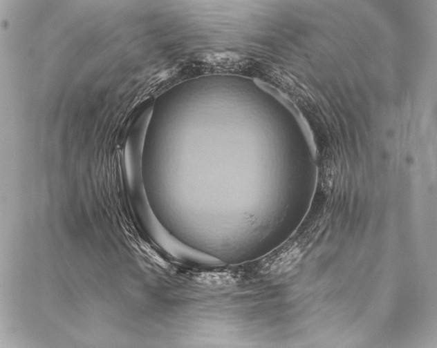 X0000089371010200706151153