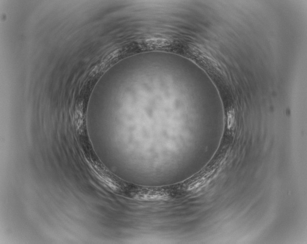 X0000089371011200706151153