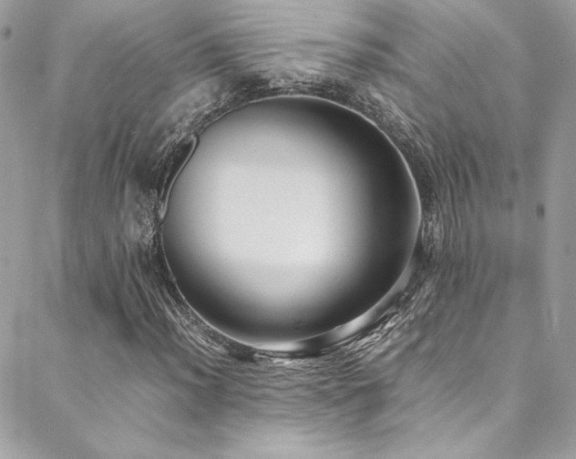 X0000089371012200706151153