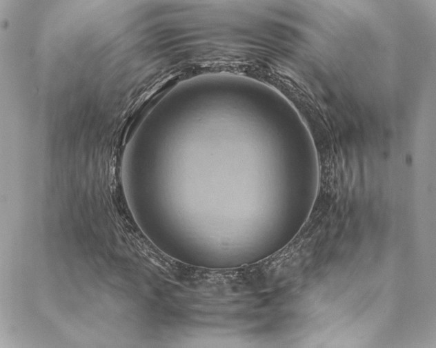 X0000089371013200706151153