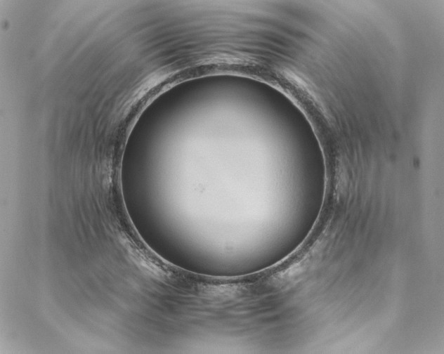 X0000089371017200706151153