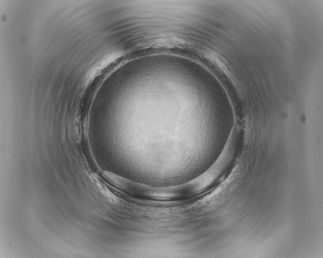 X0000089371018200706151153