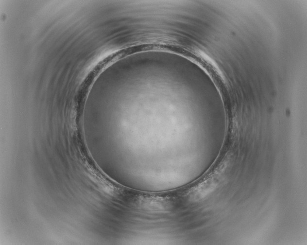 X0000089371019200706151153