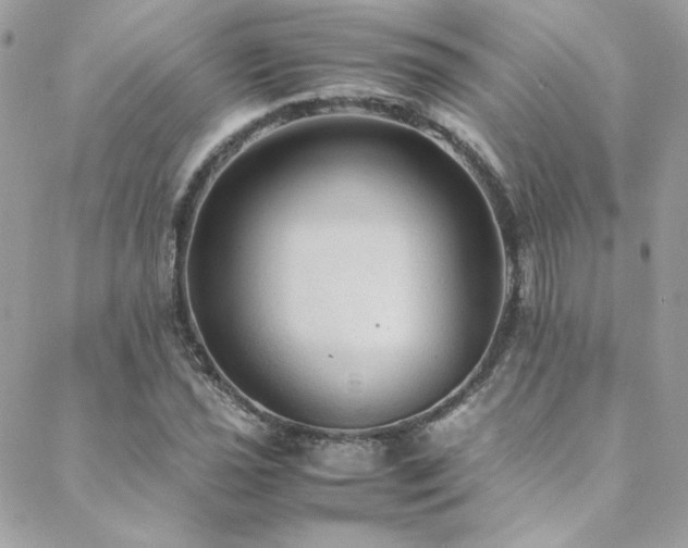 X0000089371021200706151153