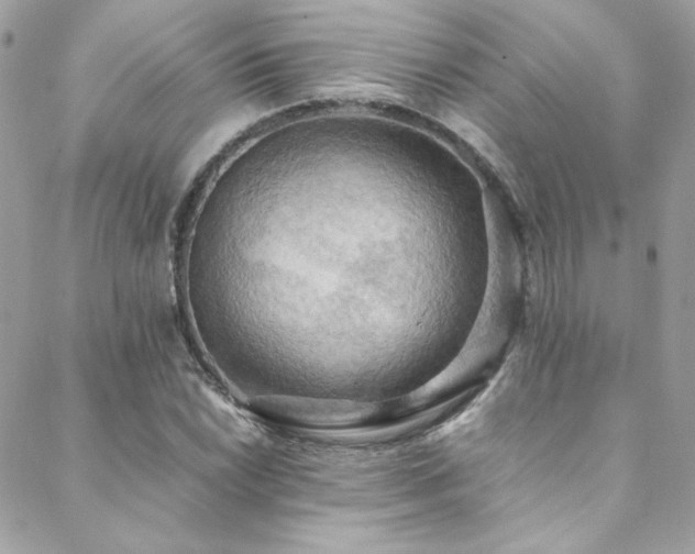 X0000089371022200706151153