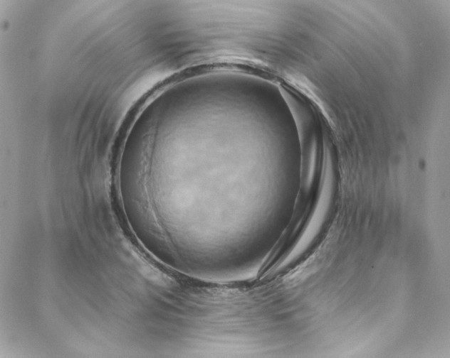 X0000089371024200706151153