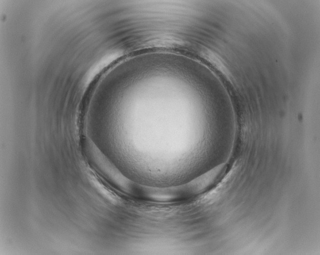 X0000089371026200706151153
