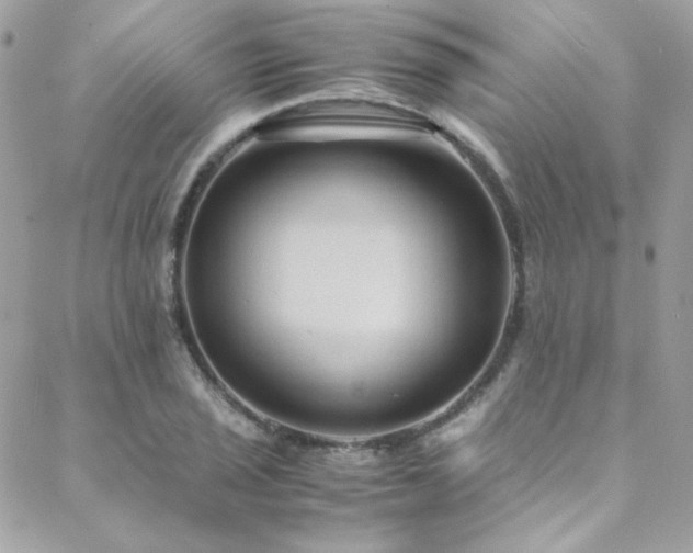 X0000089371029200706151153