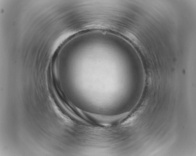 X0000089371030200706151153
