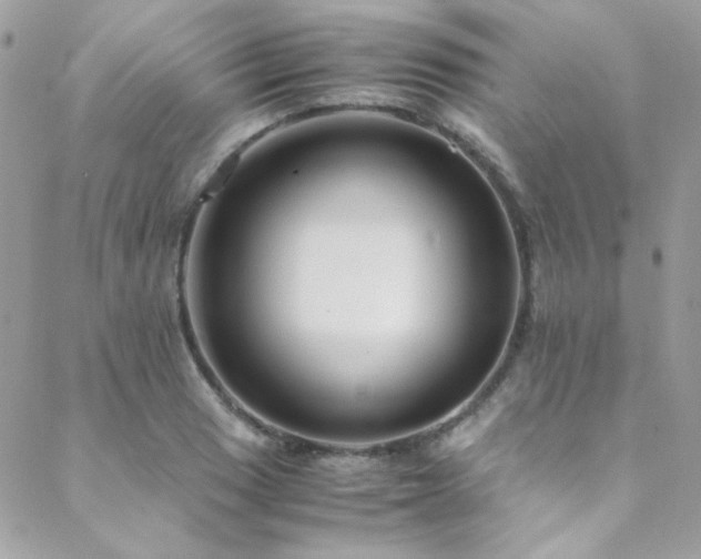X0000089371033200706151153