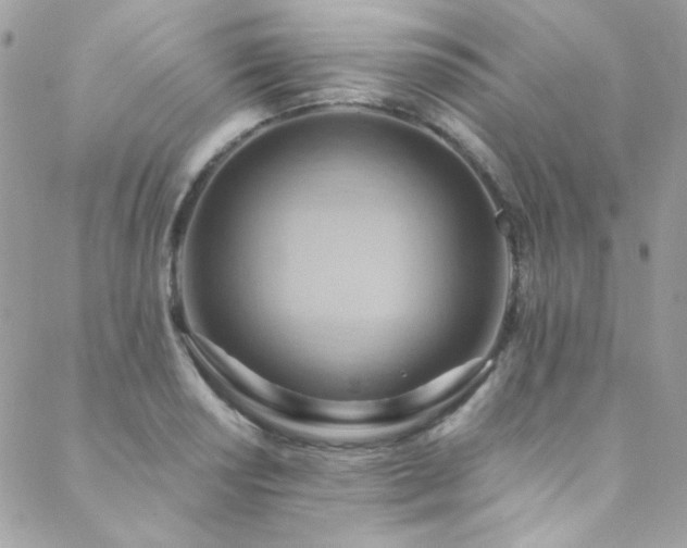 X0000089371034200706151153