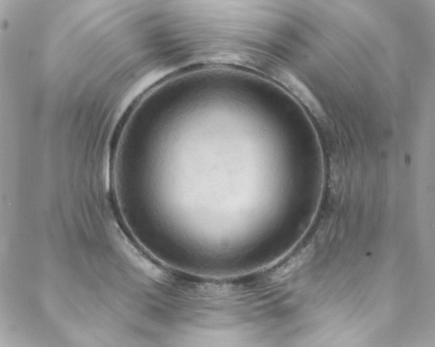 X0000089371036200706151153