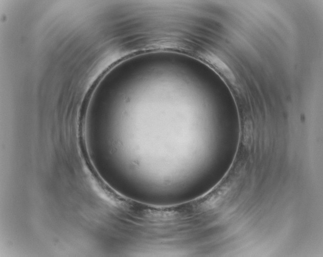 X0000089371039200706151153