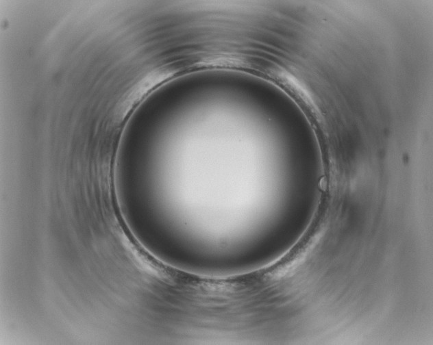 X0000089371041200706151153