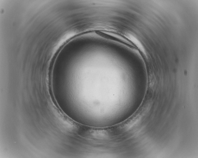 X0000089371043200706151154