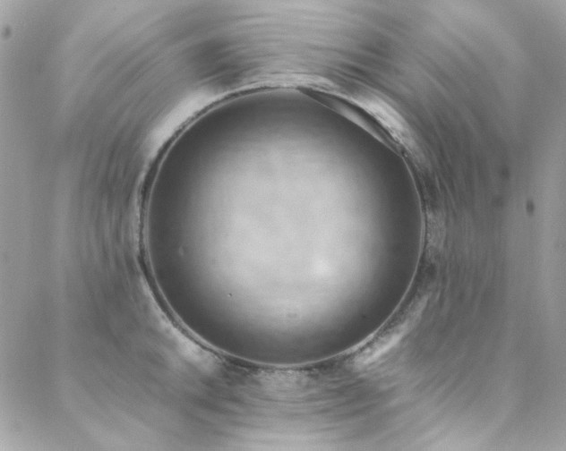 X0000089371046200706151154