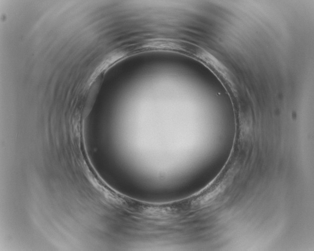 X0000089371049200706151154