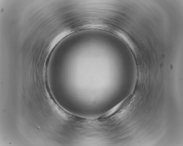 X0000089371050200706151154