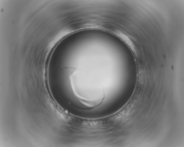 X0000089371051200706151154