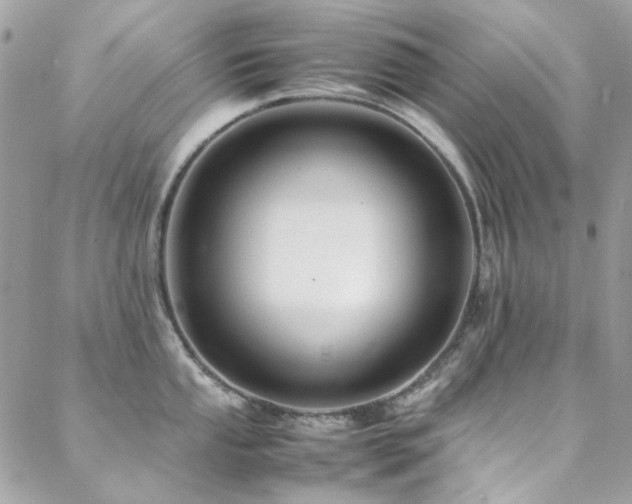 X0000089371053200706151154