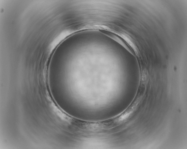 X0000089371054200706151154