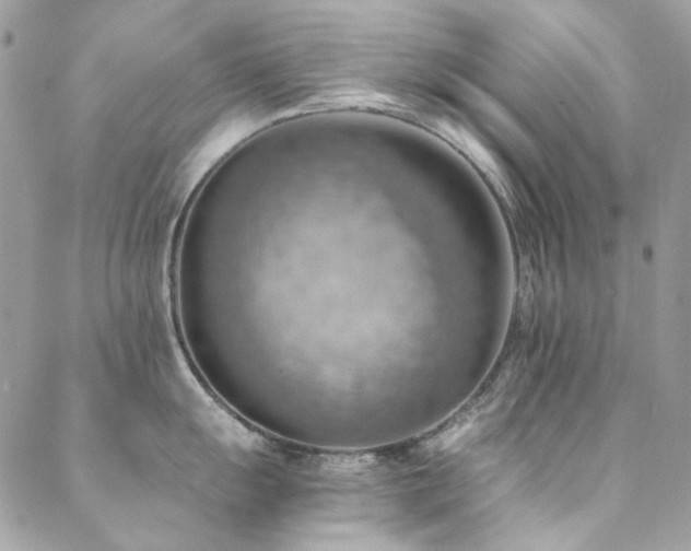 X0000089371055200706151154