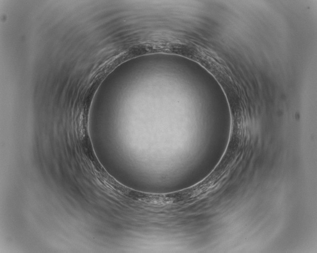 X0000089371060200706151153