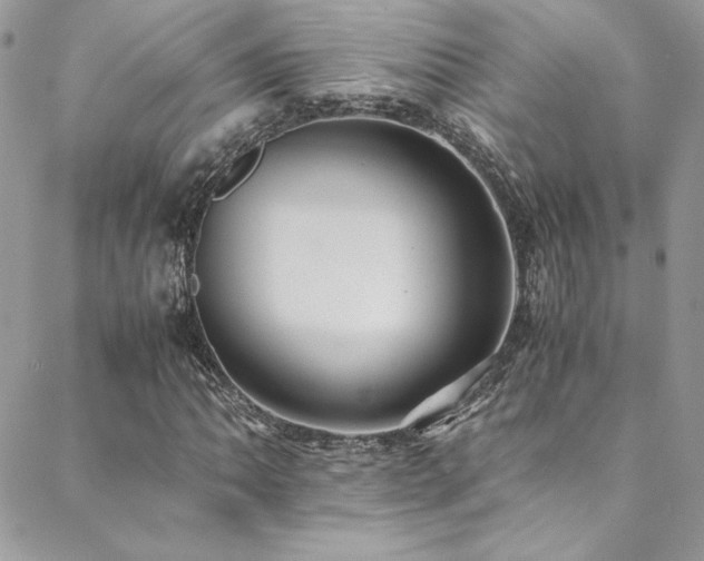 X0000089371062200706151153