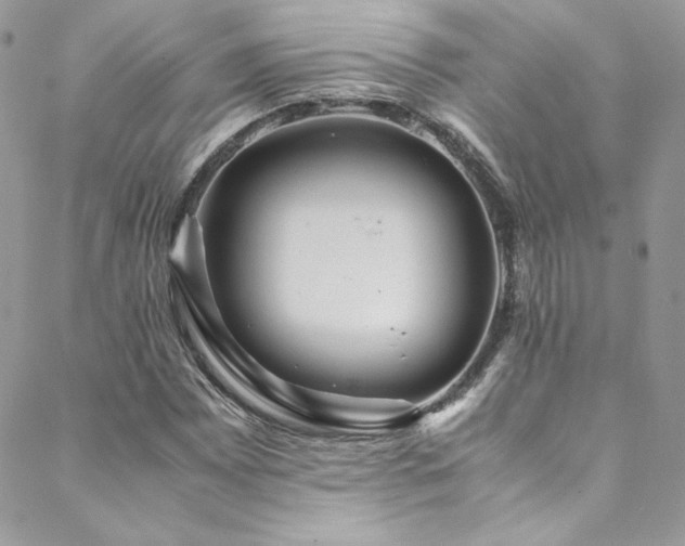 X0000089371065200706151153