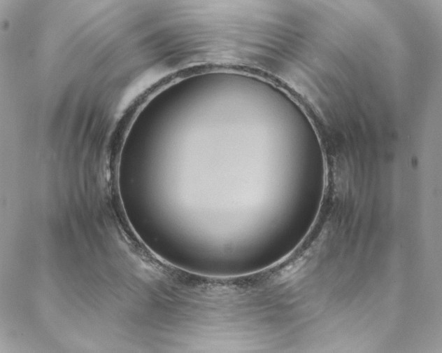 X0000089371070200706151153