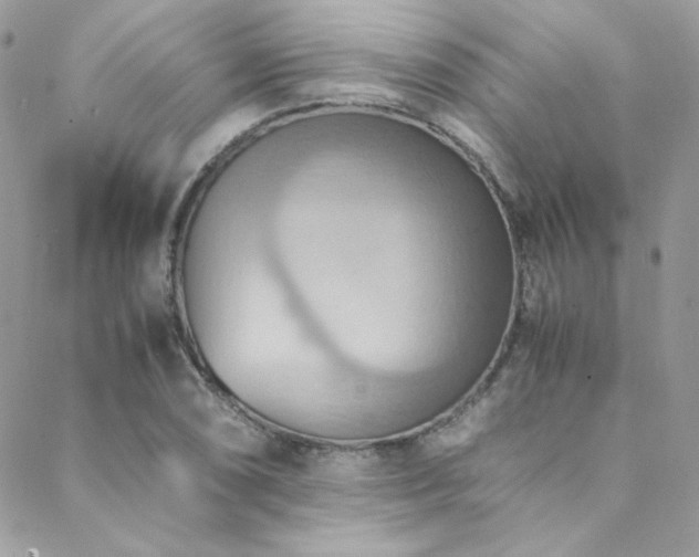 X0000089371074200706151153