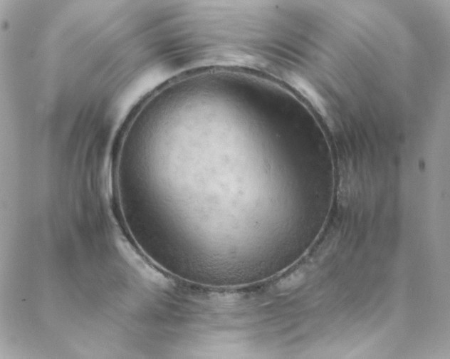X0000089371080200706151153