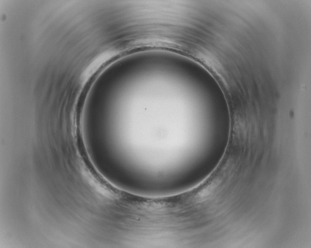 X0000089371082200706151153