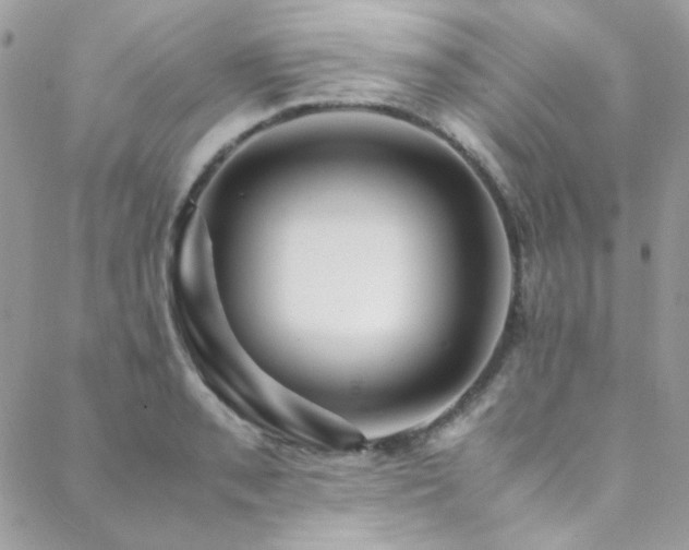 X0000089371085200706151152