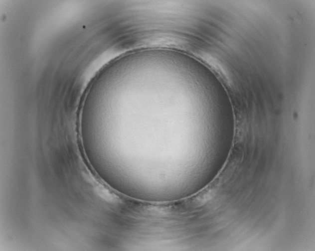 X0000089371086200706151152