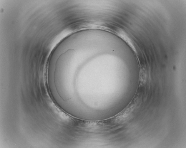 X0000089371098200706151152