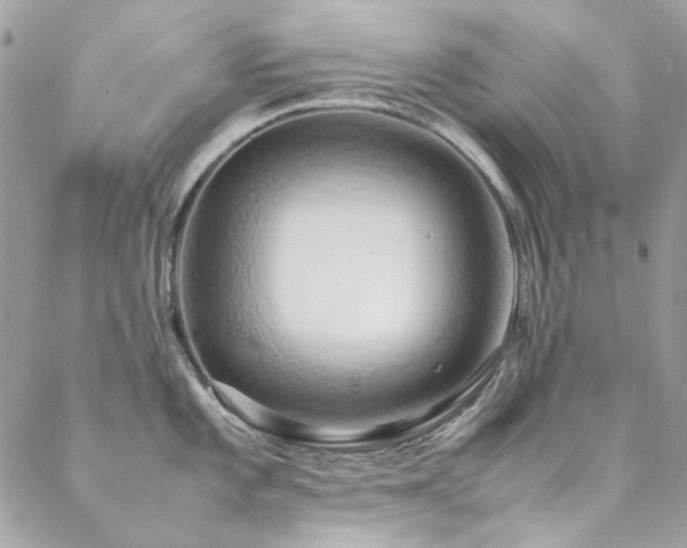 X0000089371101200706151152