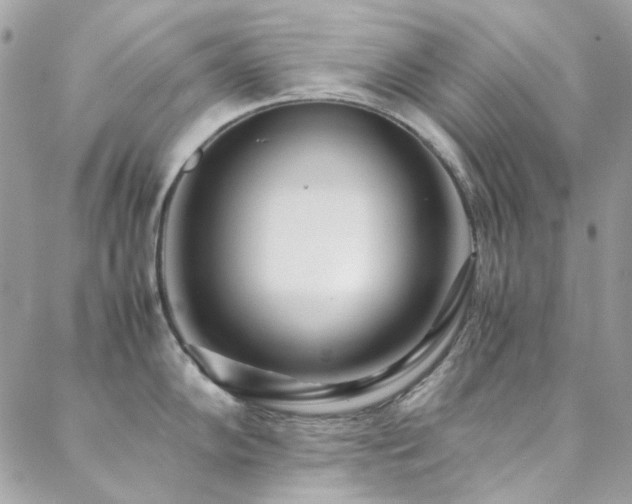X0000089371102200706151152