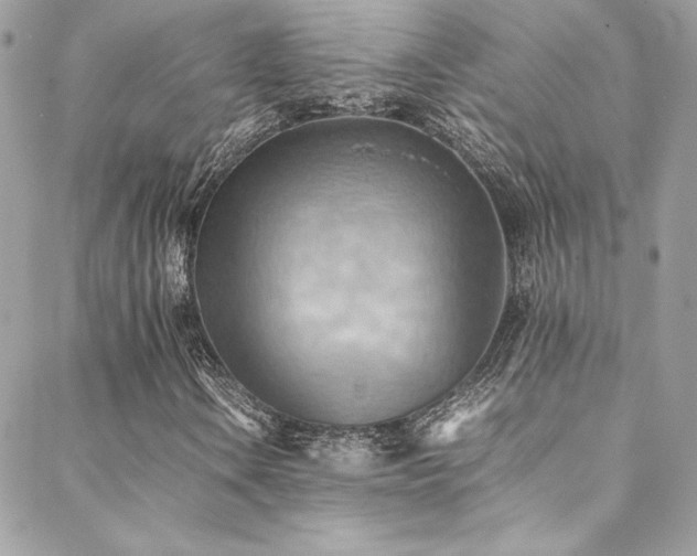 X0000089371106200706151151