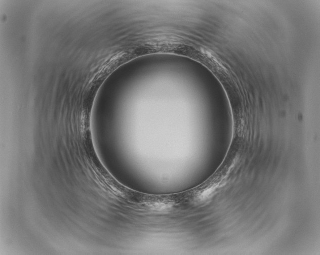 X0000089371108200706151151