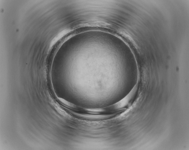 X0000089371114200706151152