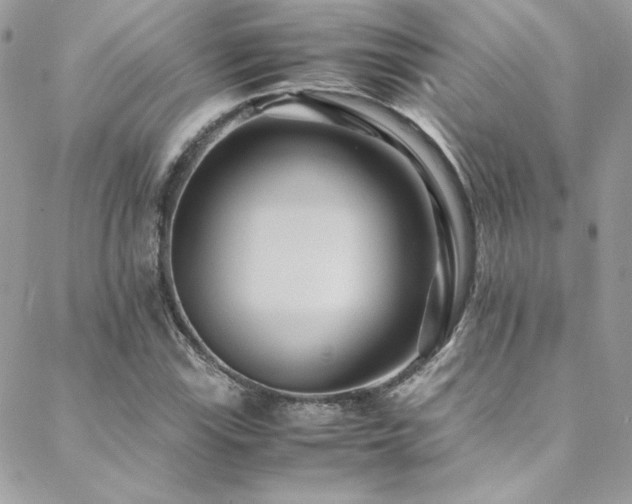 X0000089371115200706151152
