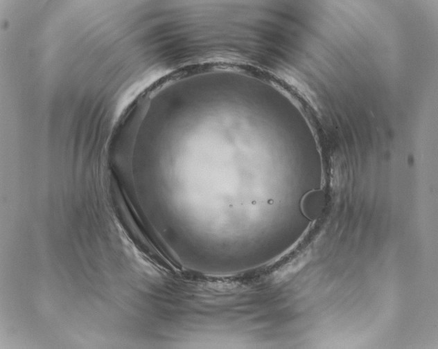 X0000089371117200706151152