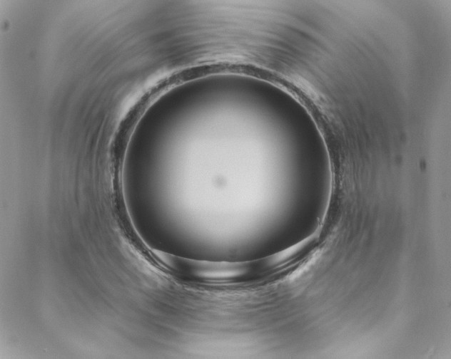 X0000089371118200706151152